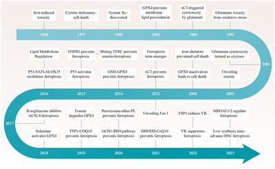 Unveiling ferroptosis: a new frontier in skin disease research